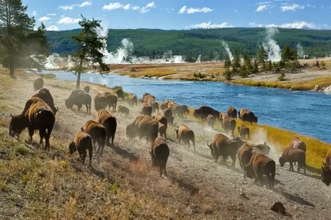Wyoming's Wind River Country in Tulsa — foto 11