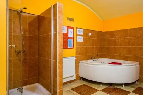 Prague Centre Plaza Hotel in Praag, foto 18