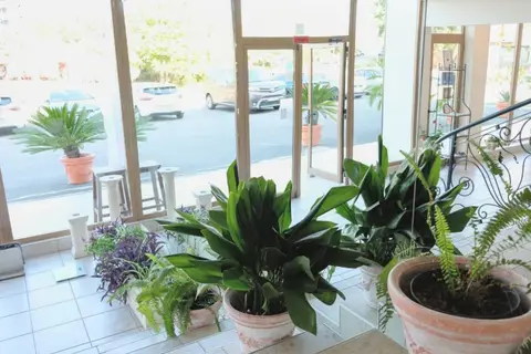 Lotus Hotel in Несебър — foto 12