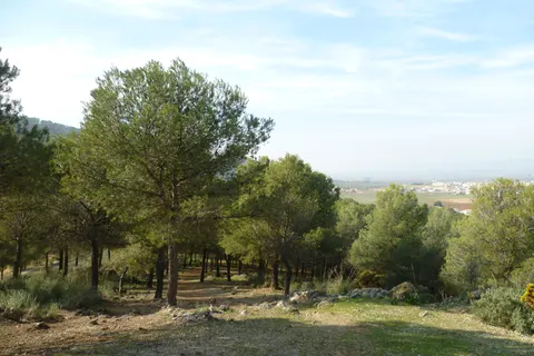 Camping La Sierrecilla foto 12