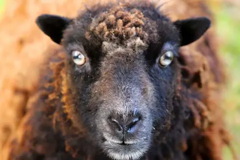 Hotel Restaurant Het Ros van Twente foto 27