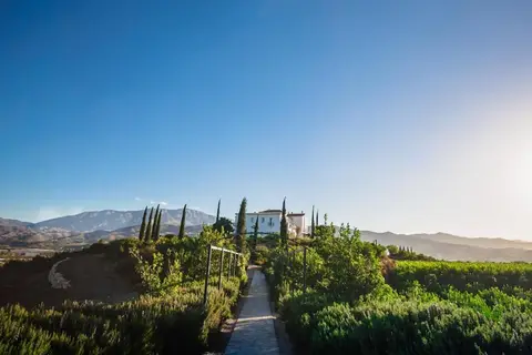 B bou Hotel Cortijo Bravo in Vélez-Málaga — foto 18