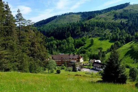 Wellnesshotel Tanne foto 19