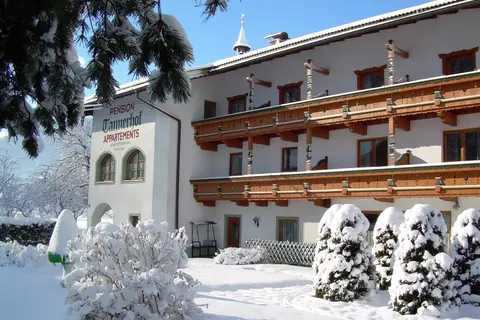 Pension Tannerhof in Zell am Ziller — foto 7