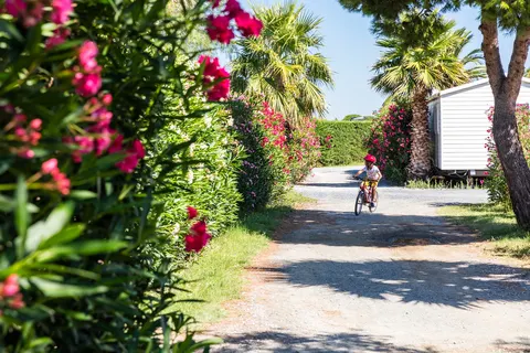 Camping Le Soleil De La Mediterranee foto 12