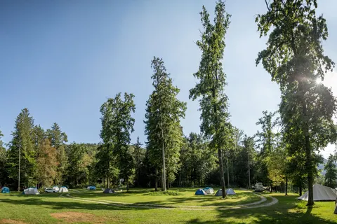 Forest Camping Mozirje in Mozirje — foto 5
