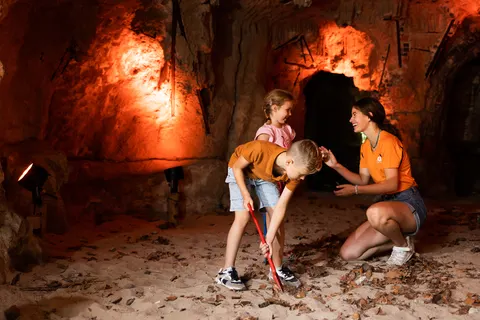 Camping Rcn Het Grote Bos foto 15