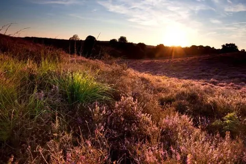 Hotel De Boshoek in Voorthuizen — foto 42