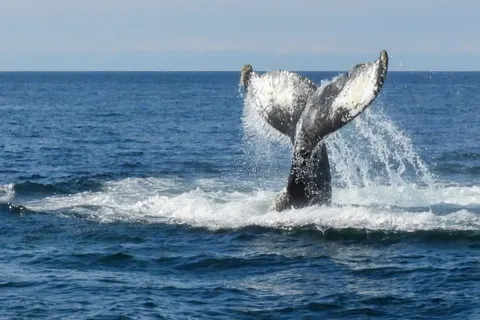 Atlantic Maritimes Tour foto 3