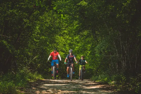 Maistra Select Resort Petalon foto 18