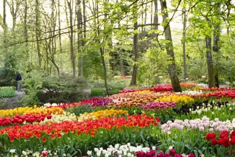Vodatent Camping de Tulpenweide in Breezand — foto 3