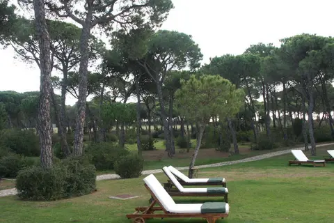 Hotel Nuevo Portil Golf in Cartaya — foto 20