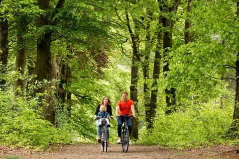 TopParken Landgoed de Scheleberg foto 23