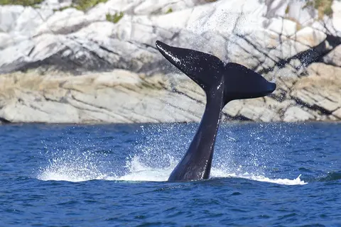 Mountain Country foto 14