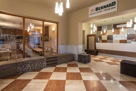 Prague Centre Plaza Hotel in Praag, foto 6