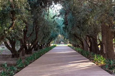 The Oberoi Marrakech in Marrakech, foto 20