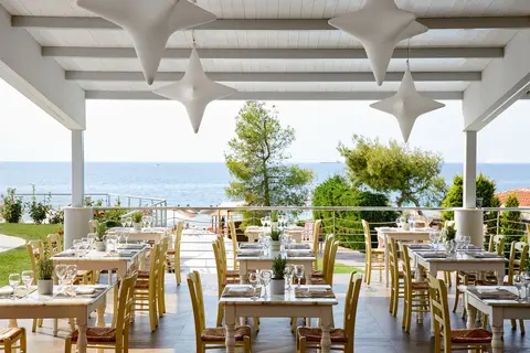 Istion Club in Δημοτική Ενότητα Κασσάνδρας — foto 5