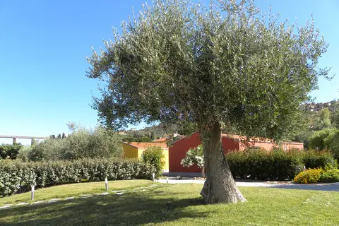 Residence Rebi Village in Imperia — foto 15