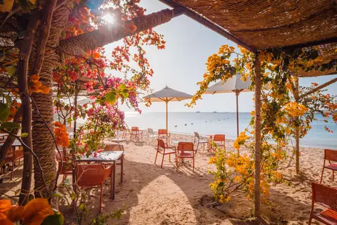 Fort Arabesque West Bay in Jungle Bar, foto 5
