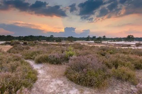 Van der Valk Hotel Veenendaal foto 30