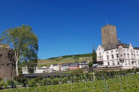 Hotel Felsenkeller in Rüdesheim am Rhein — foto 30