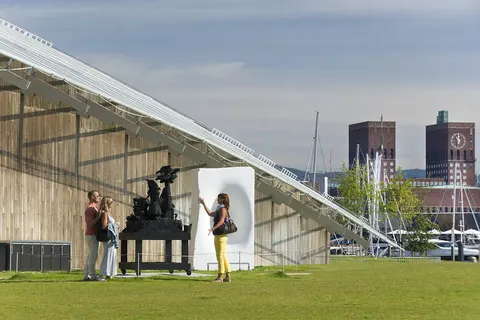 Fjorden, Gletsjers en Dalen foto 31