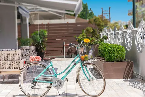 Ouzas Luxury Hotel in Κατερίνη — foto 13