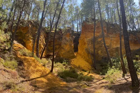 Les Chênes Blancs in Saint-Saturnin-lès-Apt — foto 24