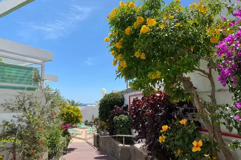 Acapulco Ocean View in Las Palmas de Gran Canaria, foto 4