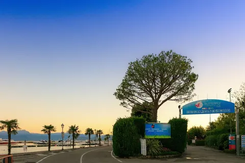 Butterfly Happy Camp foto 2