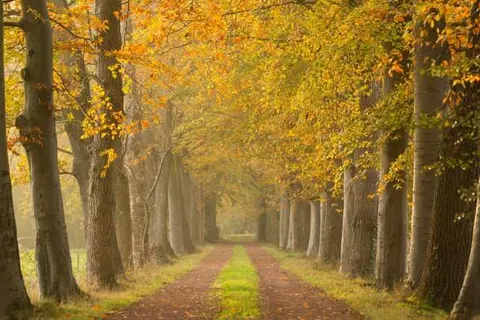 Cuisinerie Mensinge foto 12