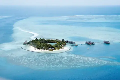 Gangehi Island Resort in Gangehi North Kandu - manta cleaning station — foto 2