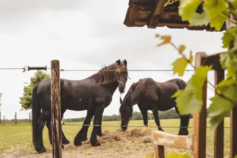 Bed en Breakfast Annen foto 15