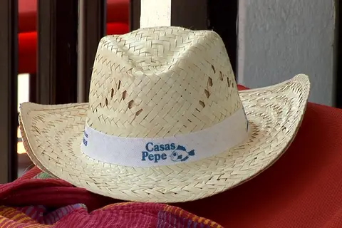 Casas Pepe in San Bartolomé de Tirajana — foto 30