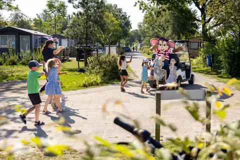 Camping Lauwersoog foto 7