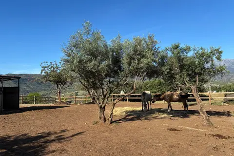 Finca del Silencio in Tolox — foto 25