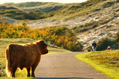 Hotel Marktstad foto 36