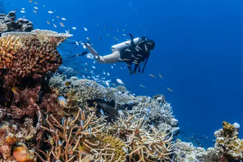 Park Hyatt Maldives Hadahaa in ގާފަރު Gaafaru — foto 20