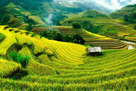 Startpakket Indonesië Bali in Denpasar — foto 3