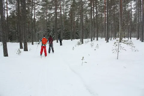 Johannisholm Adventure foto 8