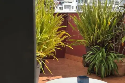 Lar Atlántica in Vigo — foto 2