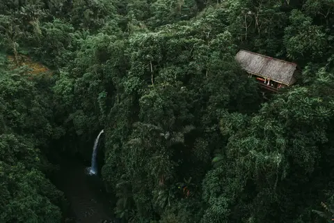 Buahan, A Banyan Tree Escape in Payangan, foto 23