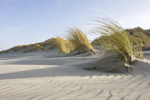 WestCord Hotel Schylge in West-Terschelling — foto 24