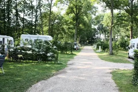 De La Forêt in Jumièges — foto 5
