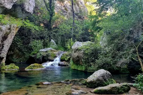Les Chênes Blancs in Saint-Saturnin-lès-Apt — foto 25