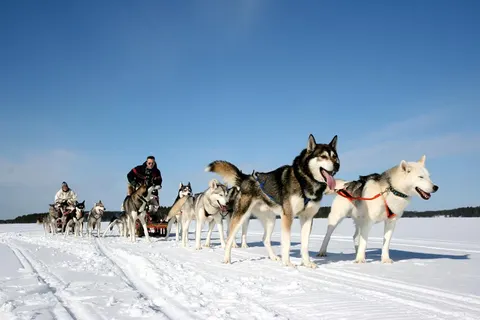 8 daagse excursiereis Ontdek Arctic Lakeland foto 1