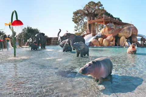 Camping Sanguli foto 1