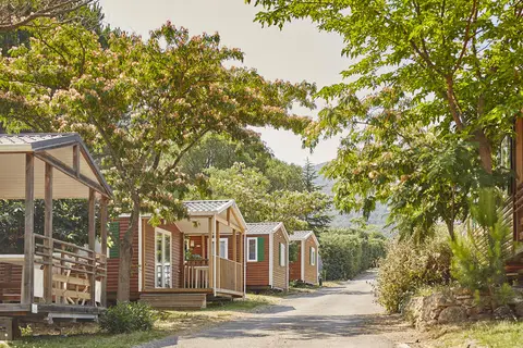 Les Albères in Laroque-des-Albères — foto 20