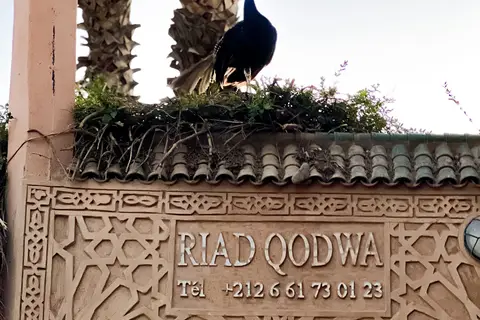 Guest House Qodwa in Marrakech — foto 2
