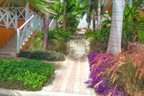 Fly & Go Curinjo Resort in Carawaraweg — foto 19